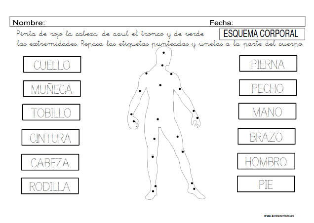 Ficha esquema corporal 9