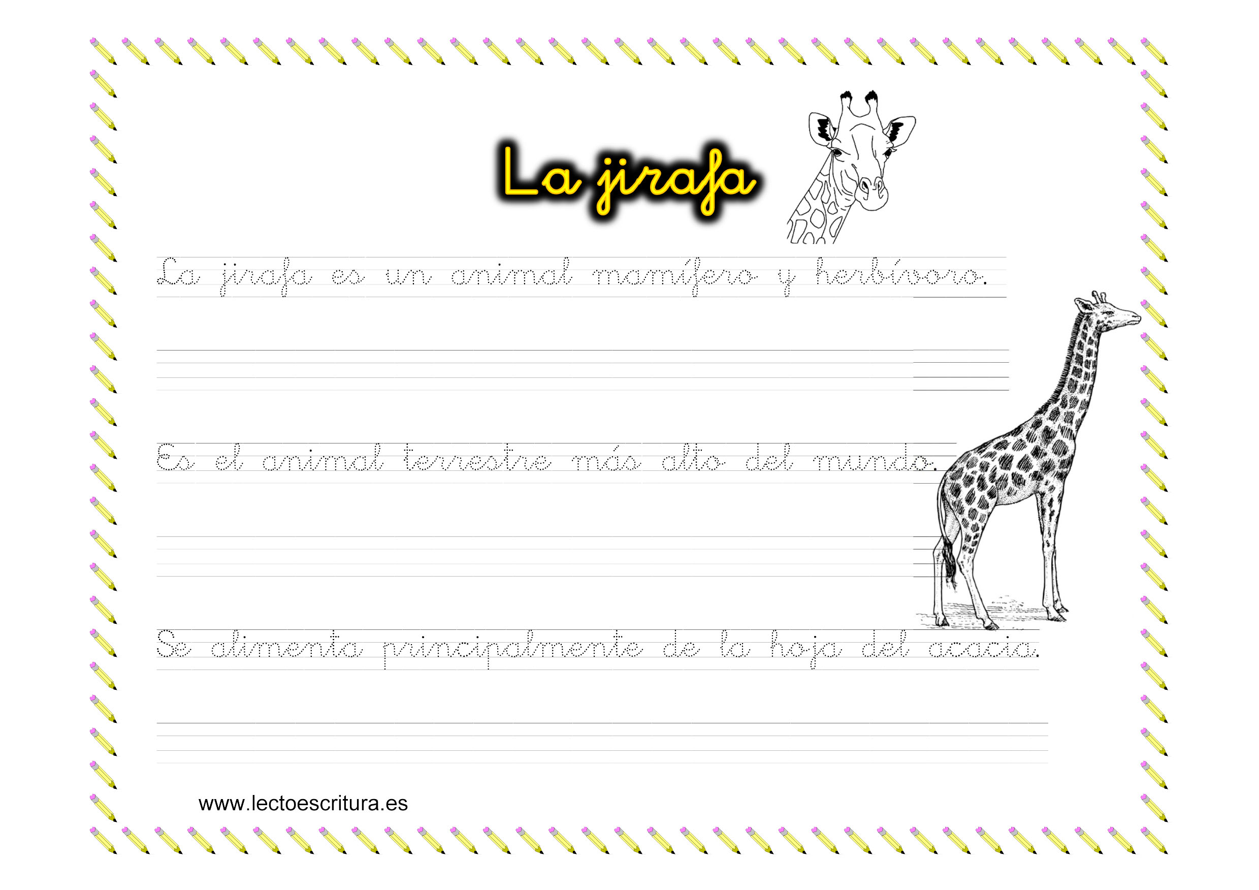 Ficha de caligrafía. La jirafa