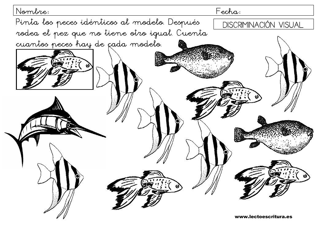 Peces